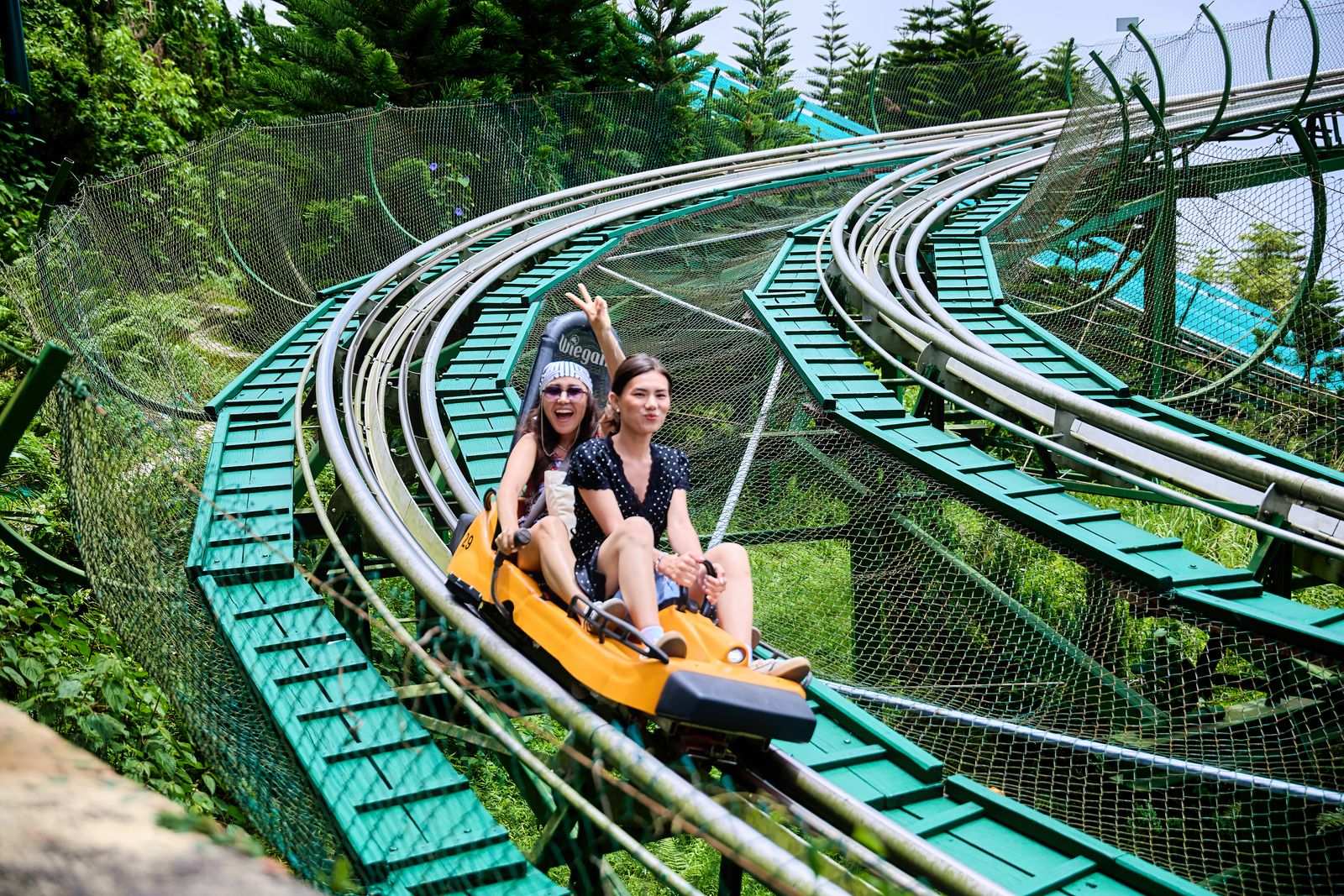 A mountain coaster sled racing down a metal track through green forest