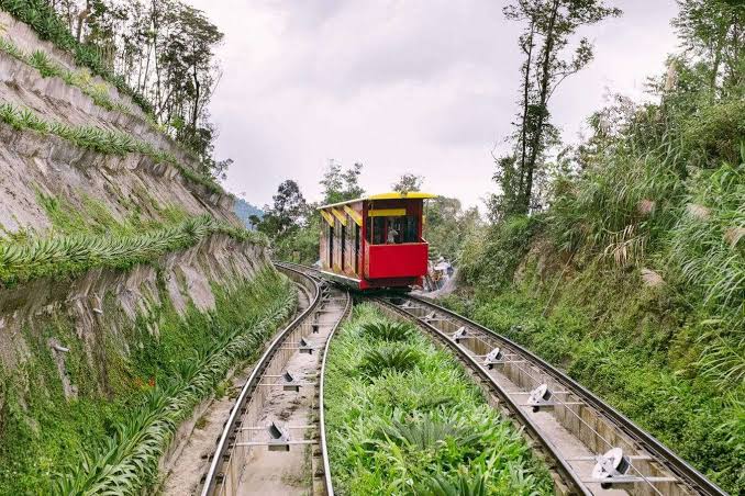 A small funicular train climbing a slope through gardens and forest on a mountain