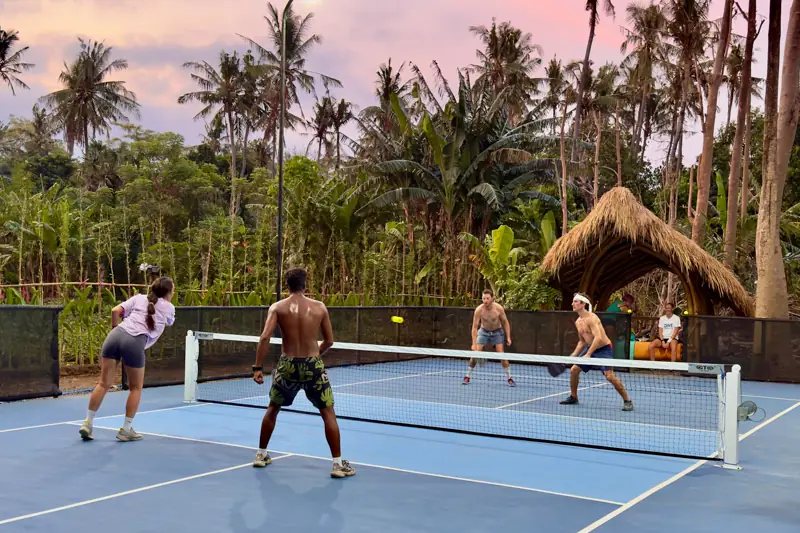 An outdoor pickleball court surrounded by palm trees in Bali