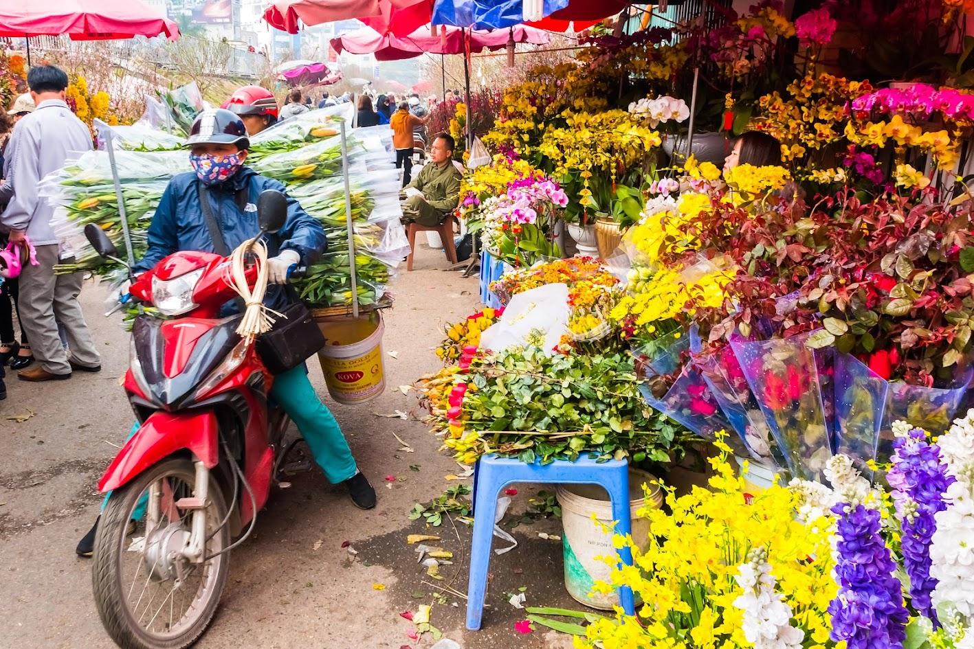 A Hanoi flower market before Tet, with peach blossom branches and kumquat trees for sale
