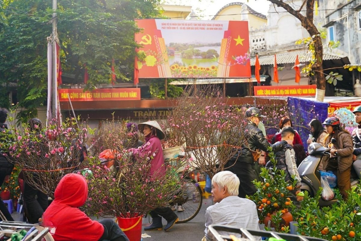 Shoppers choosing peach blossom and kumquat trees at a Hanoi flower market in the days before the Lunar New Year
