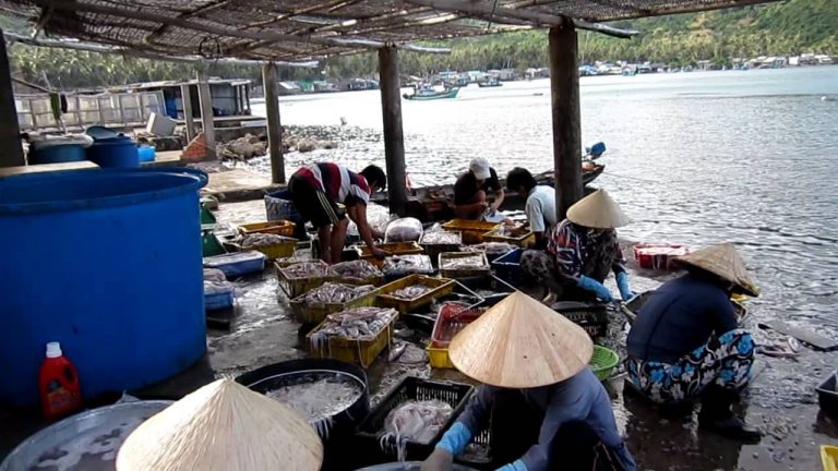 Fishermen sorting the day's catch at a dock on one of the Nam Du Islands