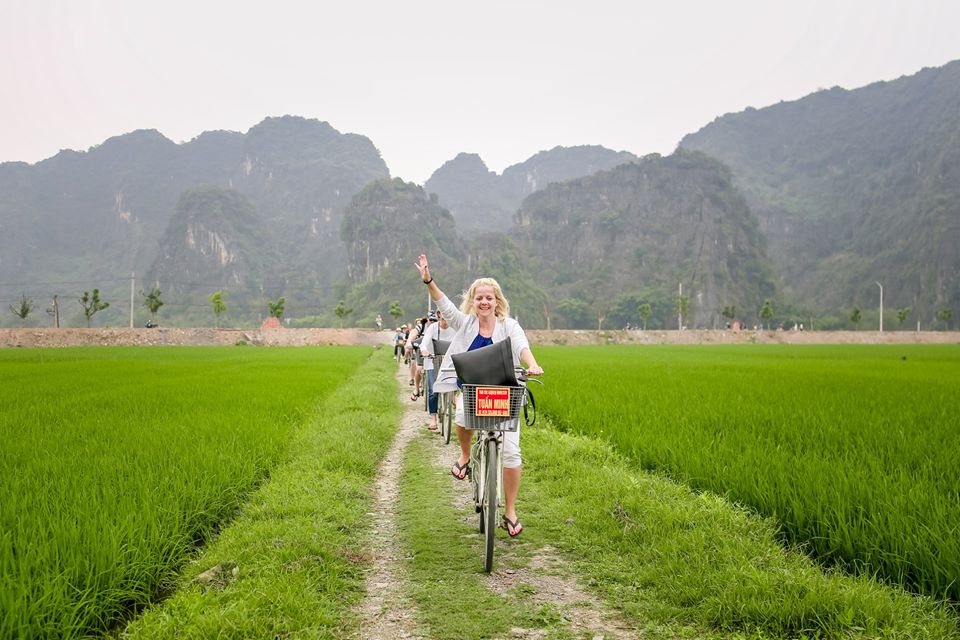 Cyclists riding through green rice fields below limestone karsts at Tam Coc in Ninh Binh