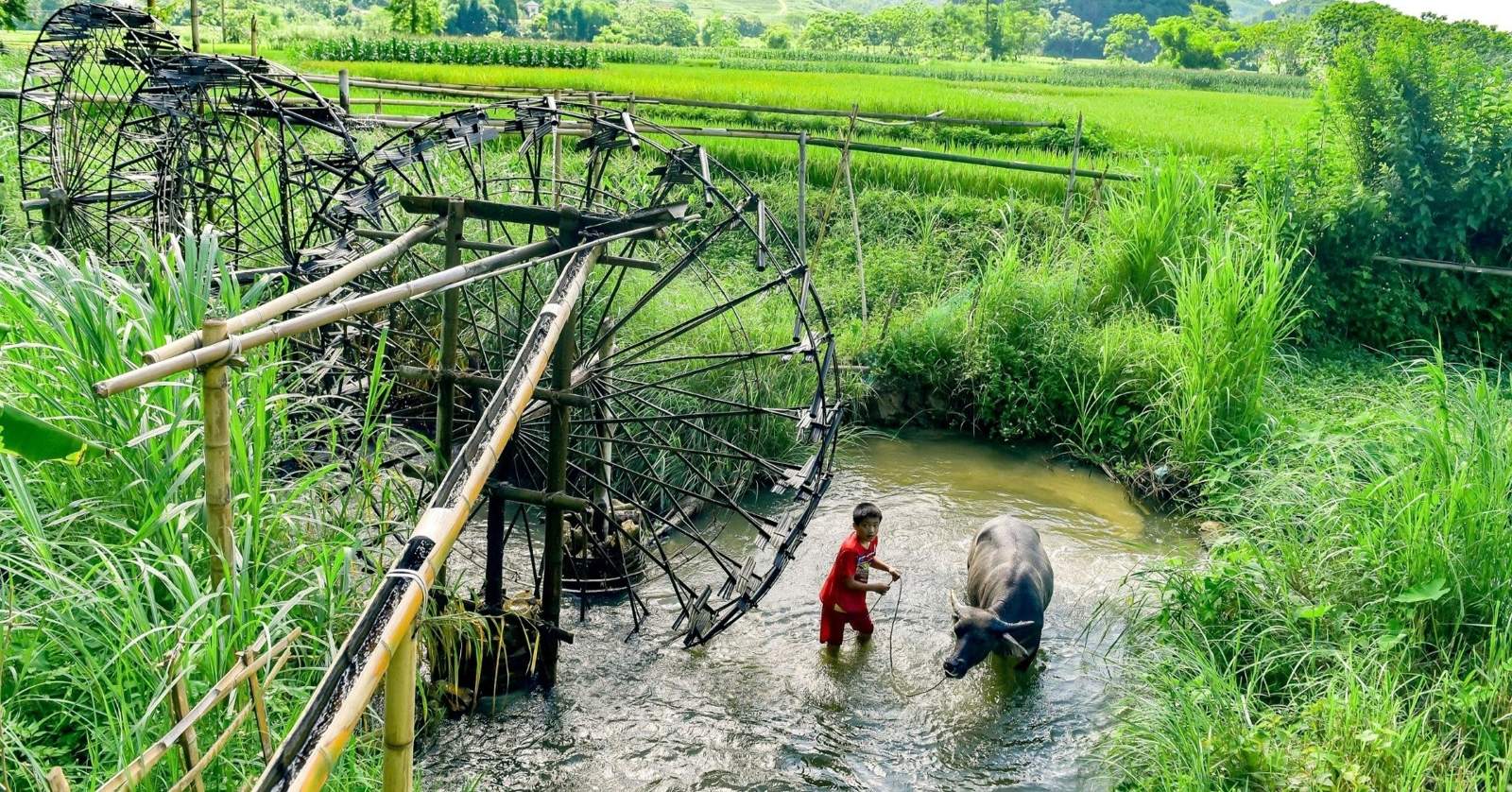 Rice terraces and a bamboo water wheel in Pu Luong nature reserve, Thanh Hoa