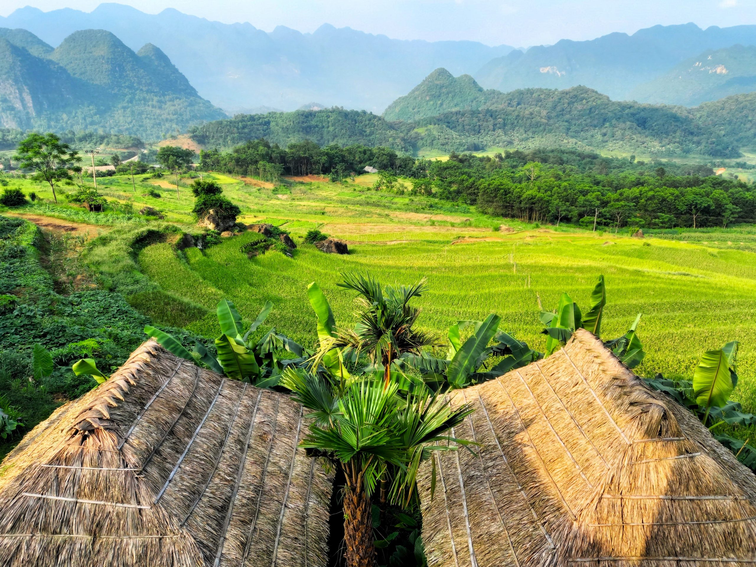 Layered rice terraces and stilt houses in the Pu Luong valley