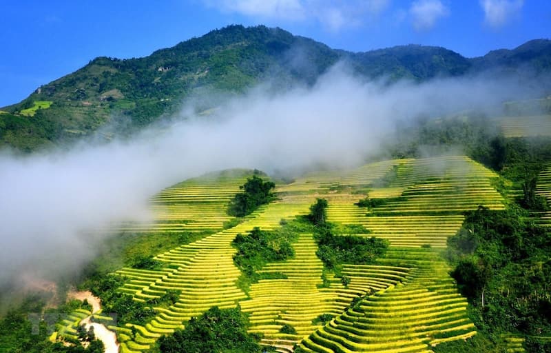Mist rising off mountains and rice terraces in the early morning near Sapa