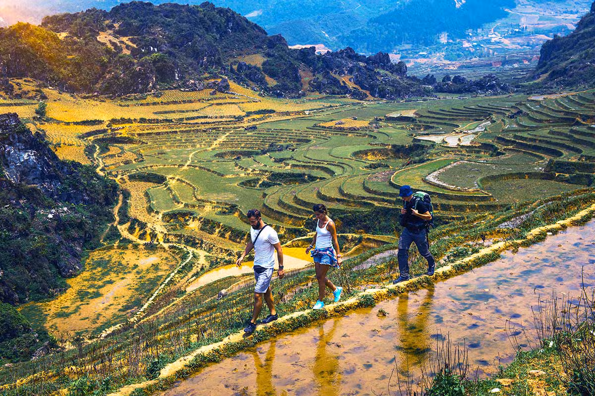 Green rice terraces stepping down a valley below Sapa with a walking path in the foreground