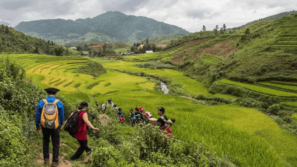 Trekkers in light jackets on a trail above the rice terraces of Sapa in cool November weather
