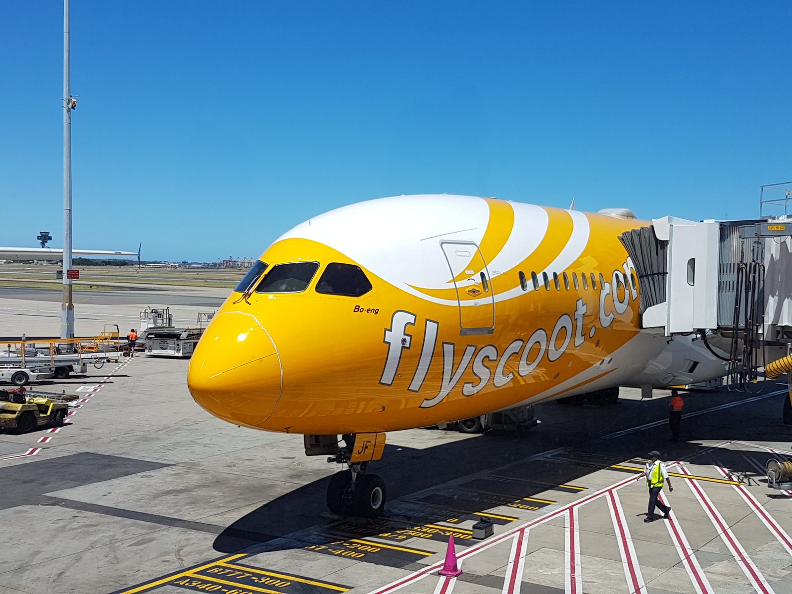 A Scoot plane at a gate at Changi Airport in Singapore