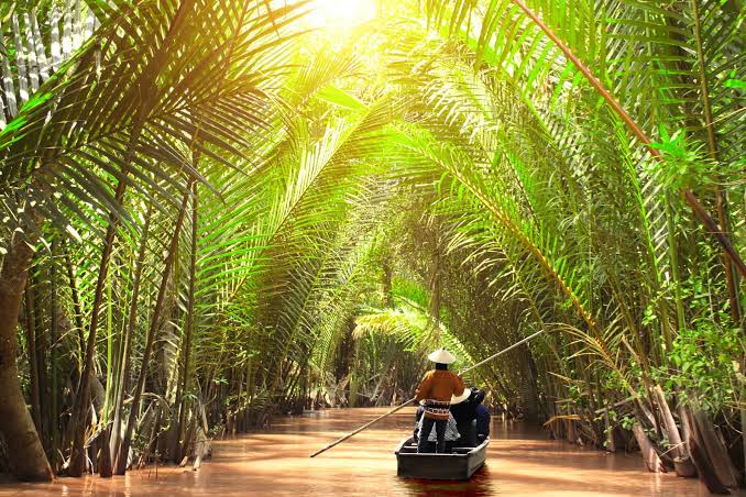 Mekong Delta waterway lined with coconut palms