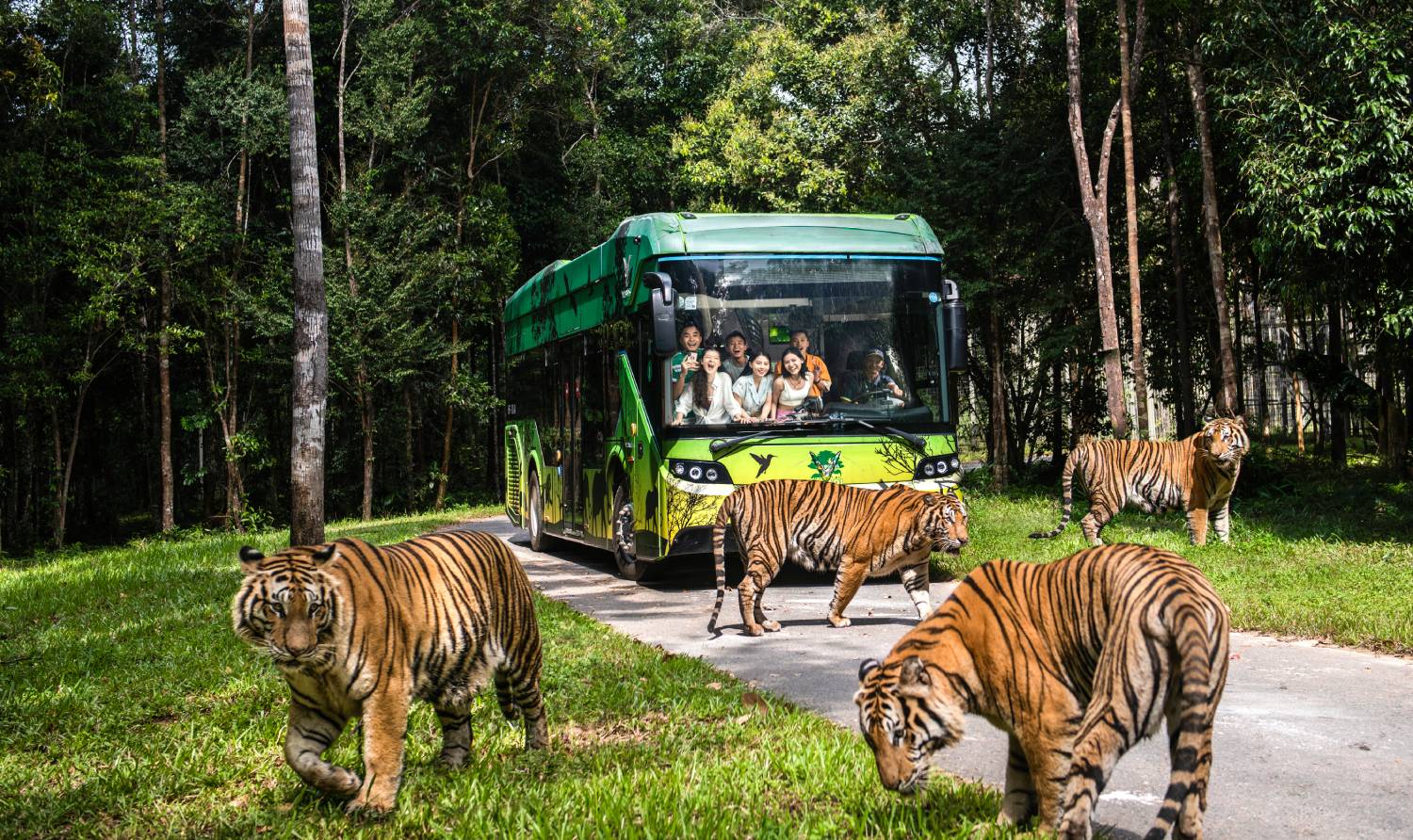 Wildlife at a Phu Quoc safari park